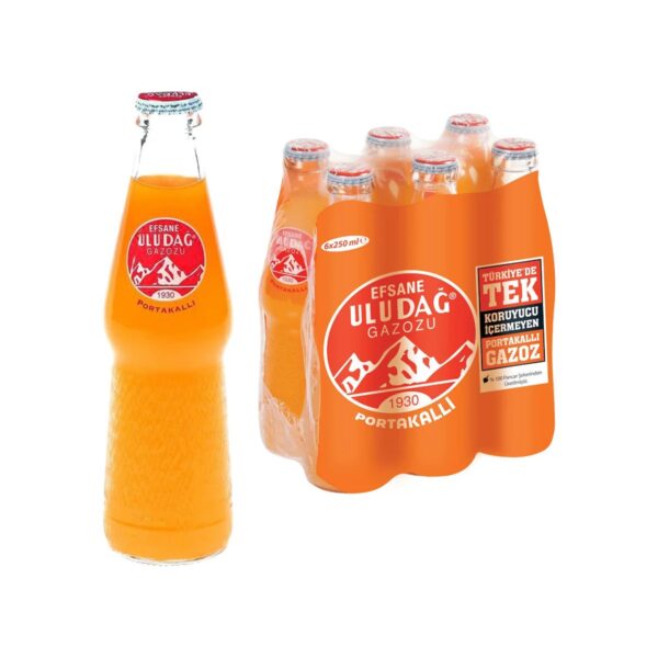 Uludağ Gazoz Orange 250 ML